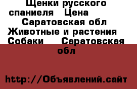 Щенки русского спаниеля › Цена ­ 3 500 - Саратовская обл. Животные и растения » Собаки   . Саратовская обл.